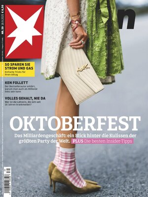 cover image of stern